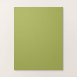 OLD OLIVE 8-1/2" X 11" CARDSTOCK