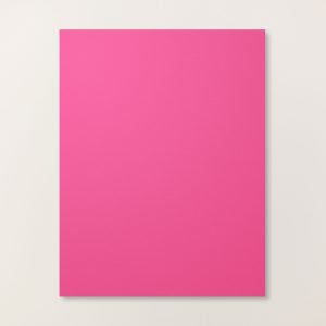 MELON MAMBO 8-1/2" X 11" CARDSTOCK