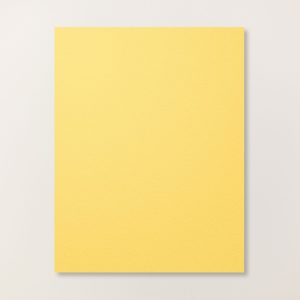 DAFFODIL DELIGHT 8-1/2" X 11" CARDSTOCK