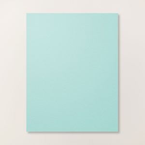 POOL PARTY 8-1/2" X 11" CARDSTOCK