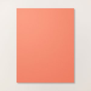 CALYPSO CORAL 8-1/2" X 11" CARDSTOCK