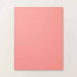 FLIRTY FLAMINGO 8-1/2" X 11" CARDSTOCK