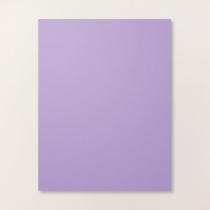 HIGHLAND HEATHER 8-1/2" X 11" CARDSTOCK