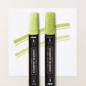 GRANNY APPLE GREEN STAMPIN' BLENDS COMBO PACK