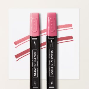 STRAWBERRY SLUSH STAMPIN’ BLENDS COMBO PACK