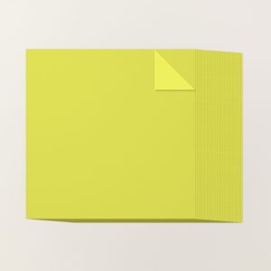 LEMON LIME TWIST 12" X 12" (30.5 X 30.5 CM) TWO-TONE CARDSTOCK