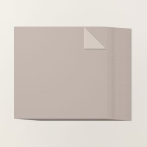GRAY GRANITE 12" X 12" (30.5 X 30.5 CM) TWO-TONE CARDSTOCK