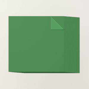 GARDEN GREEN 12" X 12" (30.5 X 30.5 CM) TWO-TONE CARDSTOCK