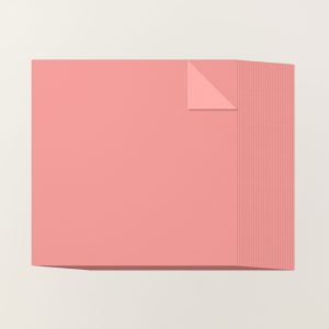 FLIRTY FLAMINGO 12" X 12" (30.5 X 30.5 CM) TWO-TONE CARDSTOCK