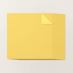 DAFFODIL DELIGHT 12" X 12" (30.5 X 30.5 CM) TWO-TONE CARDSTOCK