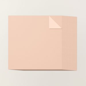 PETAL PINK 12" X 12" (30.5 X 30.5 CM) TWO-TONE CARDSTOCK