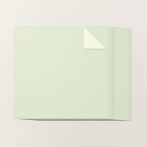 SOFT SEA FOAM 12" X 12" (30.5 X 30.5 CM) TWO-TONE CARDSTOCK