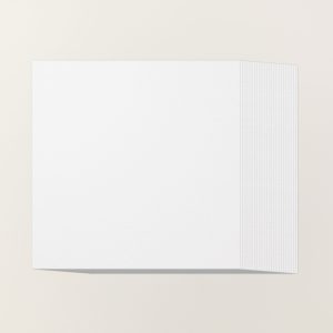 WHITE WILLOW 12" X 12" (30.5 X 30.5 CM) CARDSTOCK