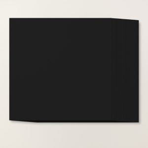 BASIC BLACK 12" X 12" (30.5 X 30.5 CM) CARDSTOCK