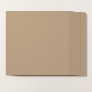 CRUMB CAKE 12" X 12" (30.5 X 30.5 CM) CARDSTOCK