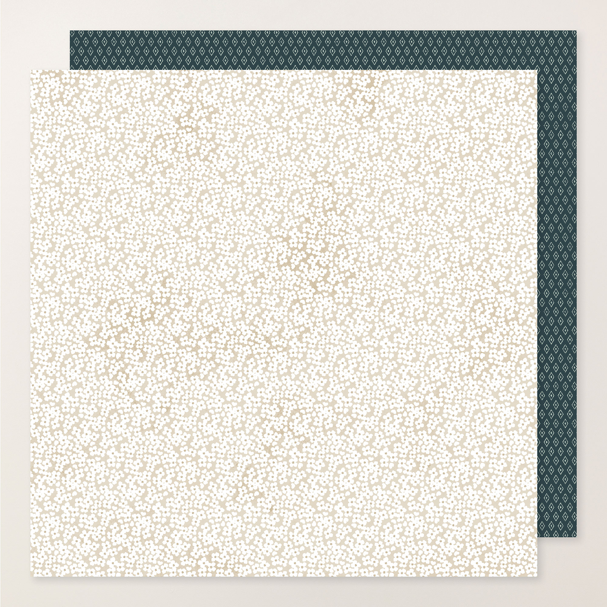 167192o08.jpg