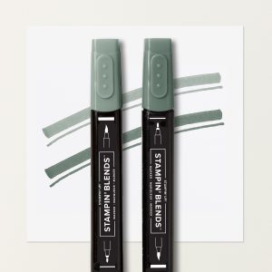 PEACEFUL PINE STAMPIN’ BLENDS COMBO PACK
