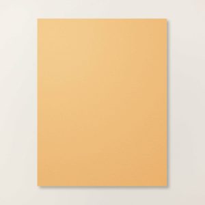 GOLDEN GLOW 8-1/2" X 11" CARDSTOCK