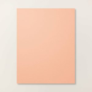 CRISP CANTALOUPE 8-1/2" X 11" CARDSTOCK