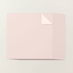 BARELY BLUSH 12" X 12" (30.5 X 30.5 CM) TWO-TONE CARDSTOCK