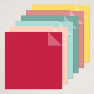 EXTRAORDINARY LIFE 12" X 12" (30.5 X 30.5 CM) TWO-TONE CARDSTOCK